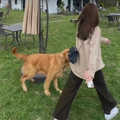 女儿大人加个赖